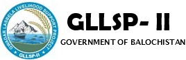 GLLSP-II Logo