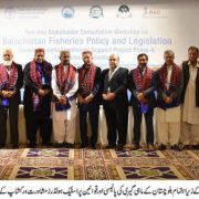 Consultation Workshop for Fisheries Policy and legislation Under FAO and GLLSP-II Project