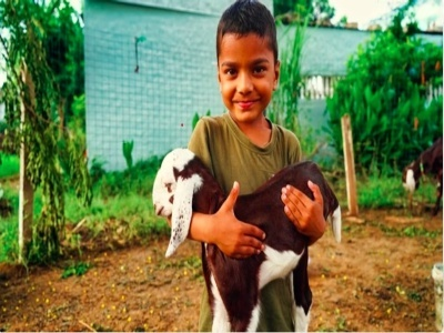 Economic Graduation of the Women & Youth