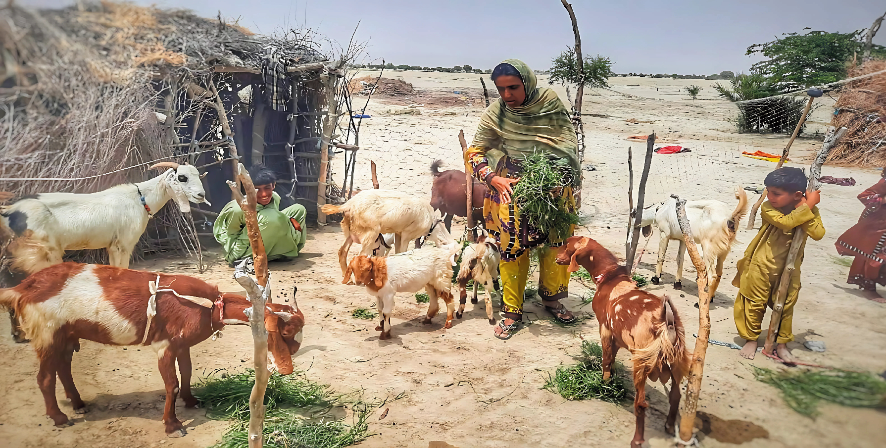 How Goats Transformed Sammi’s Life